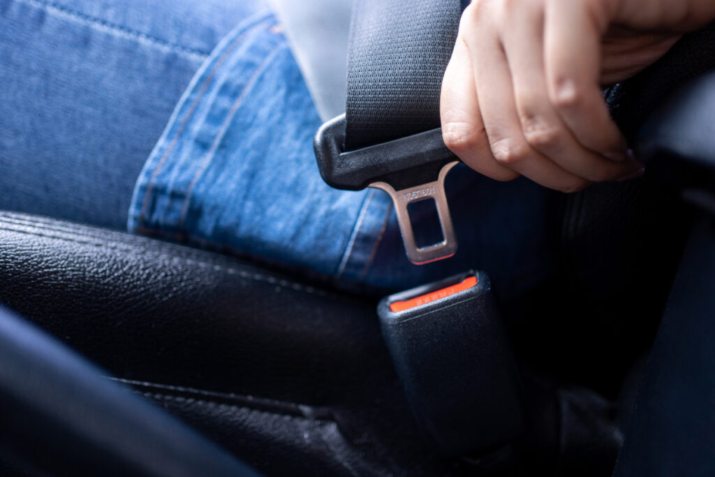 south carolina seat belt laws